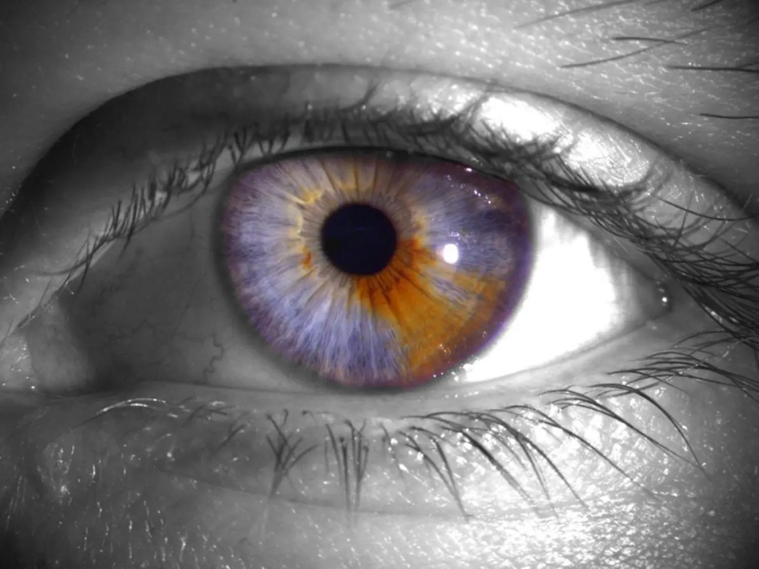 Augenbild von Augenoptik Klöter